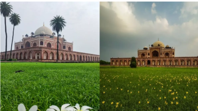 Photo of Humayun’s Tomb तो कई बार गए होंगे, लेकिन आजतक नहीं पता होंगे इससे जुड़े 6 राज