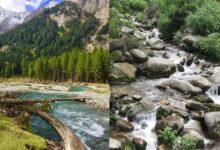 Photo of कुल्लू के पास तीर्थन घाटी है पर्यटकों की खास पसंद