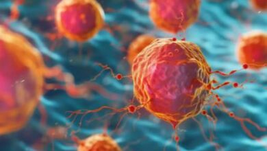 Photo of बचपन के घातक कैंसर में गेम चेंजर साबित हो सकती है यह दवा