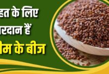 Photo of रोज हलीम के बीज खाने से शरीर में दिखेंगे 7 कमाल के बदलाव