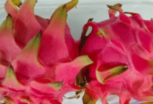 Photo of उत्तराखंड: ड्रैगन फ्रूट पर 80 प्रतिशत सब्सिडी दे रही सरकार