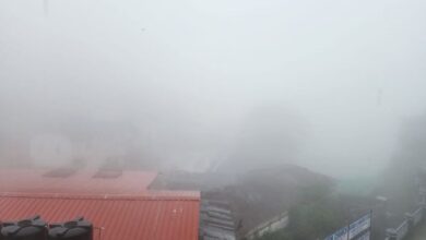 Photo of आज पहाड़ों में पाला बढ़ाएगा ठिठुरन, मैदानी इलाकों में घने कोहरे का यलो अलर्ट!