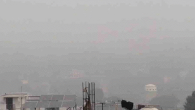 Photo of उत्तराखंड: कोहरे और शीतलहर ने बढ़ाई ठिठुरन, सूखी ठंड कर रही परेशान