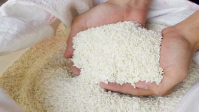Photo of PMGKAY के तहत फ्री में मिलने वाले अनाज पर सरकार का बड़ा फैसला
