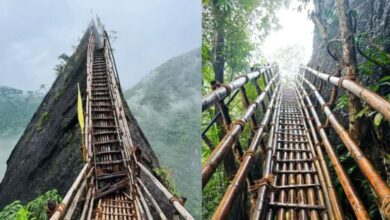Photo of मेघालय का सबसे खतरनाक ट्रैक यू मावरिंगखांग बांस ट्रैक